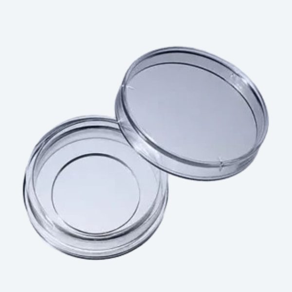 Glass Petri Dish