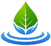 MN Wonderland -Transparent Logo